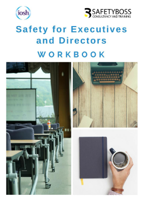 Create Safety Workbook for Executives & Directors Online with Visual ...