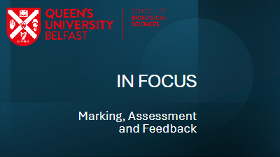 IN FOCUS_AssessmentsMarkingFeedback