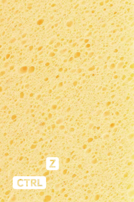 Ctrl+Z